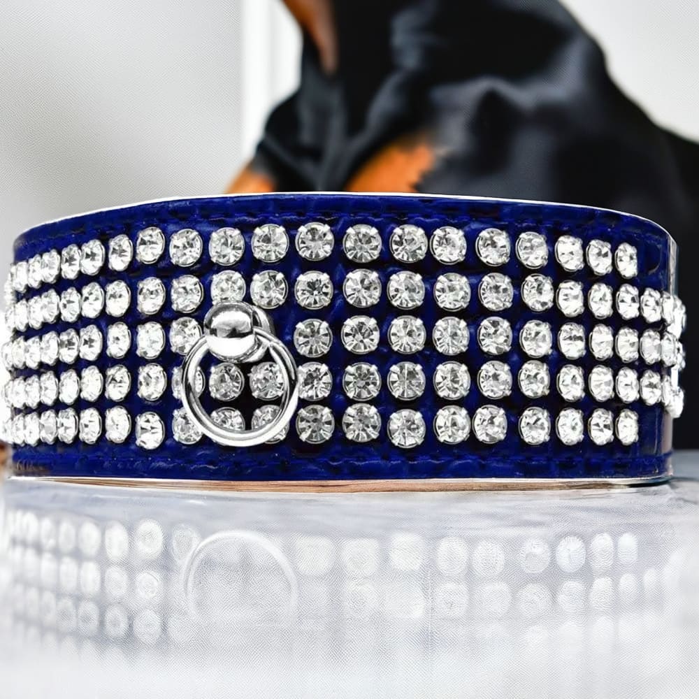 Five Row Clear Crystal Designer Croc Dog Collar - Dog
