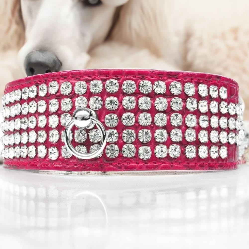 Five Row Clear Crystal Designer Croc Dog Collar - Dog