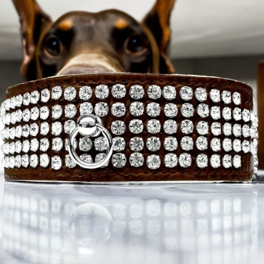 Five Row Clear Crystal Designer Croc Dog Collar - Dog