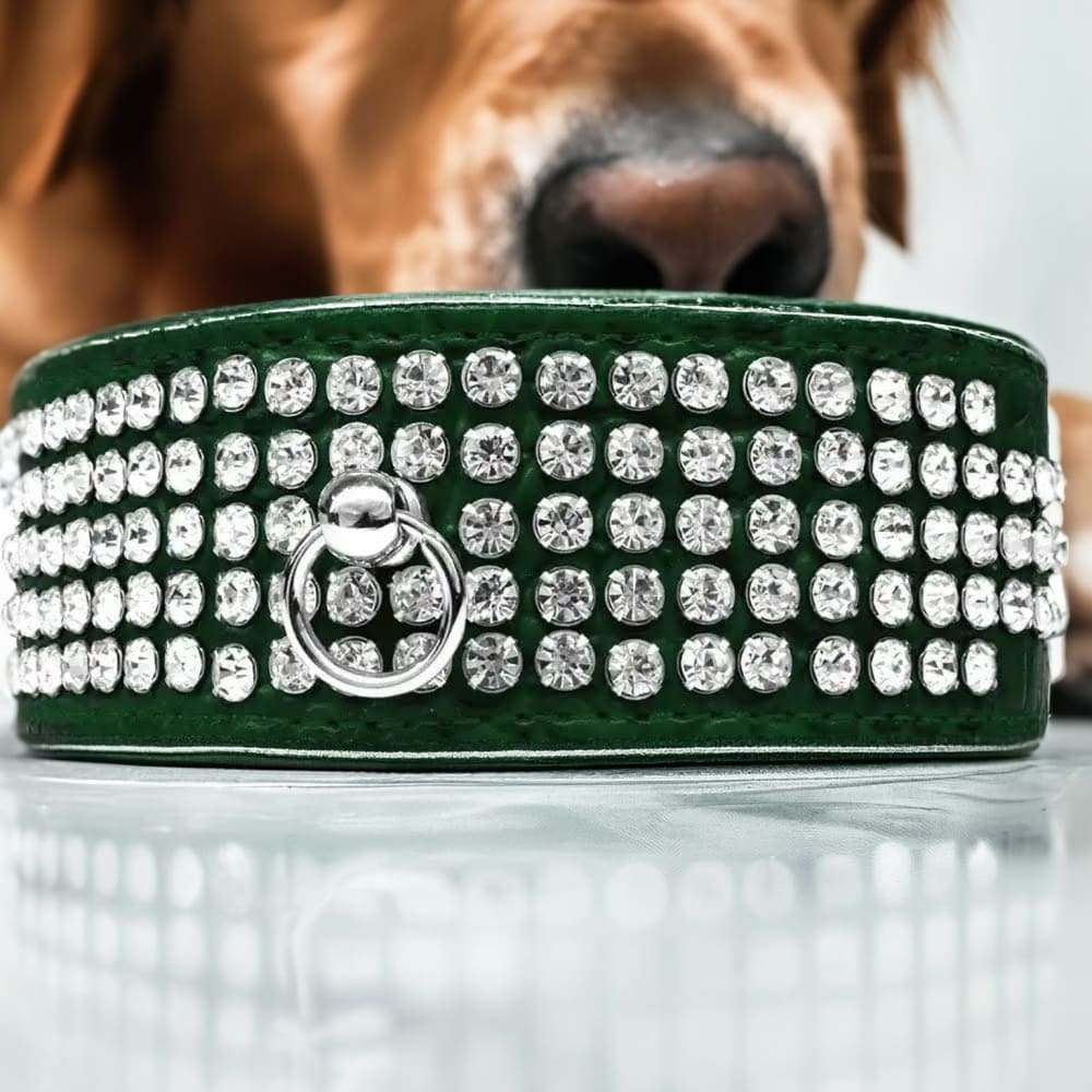 Five Row Clear Crystal Designer Croc Dog Collar - Dog