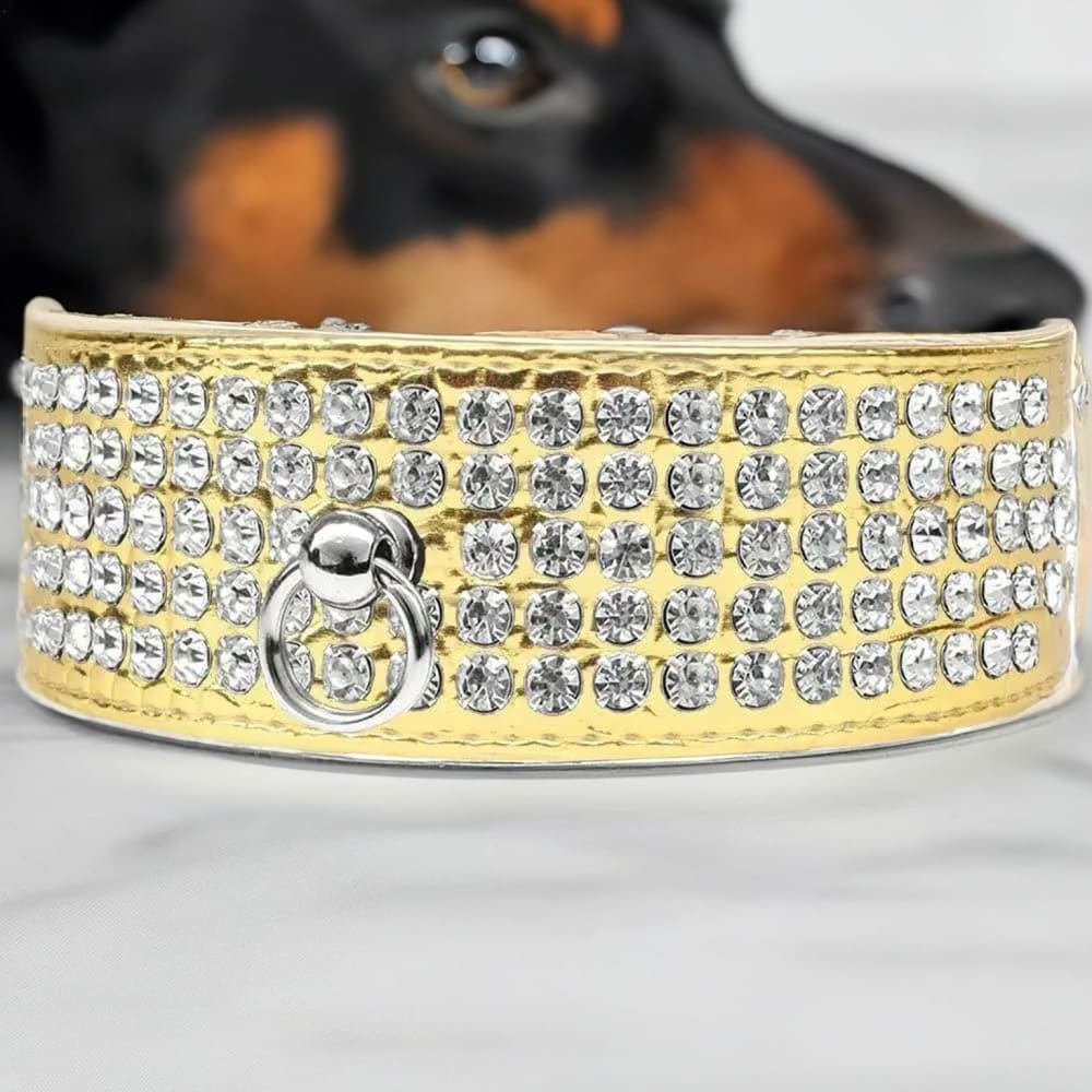 Five Row Clear Crystal Designer Croc Dog Collar - Dog