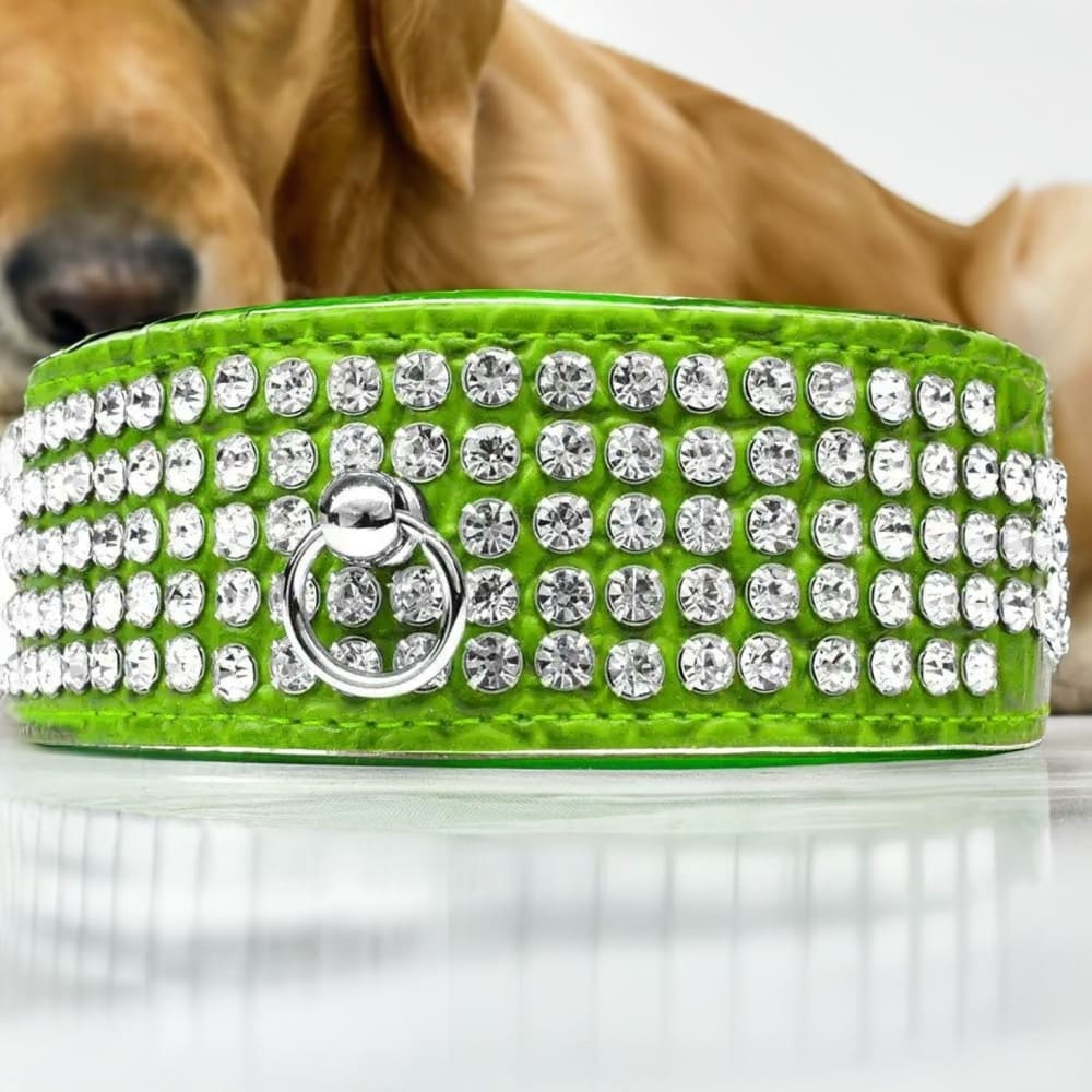 Five Row Clear Crystal Designer Croc Dog Collar - Dog