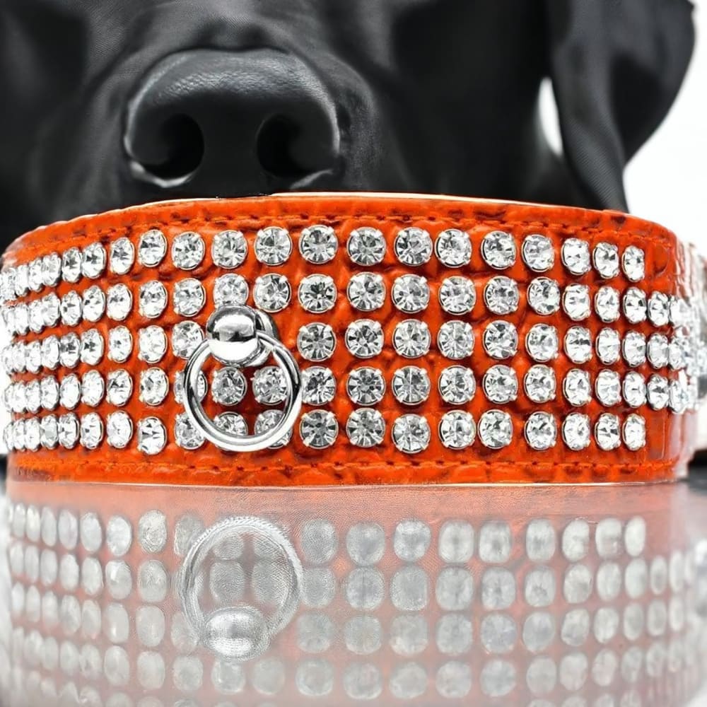 Five Row Clear Crystal Designer Croc Dog Collar - Dog