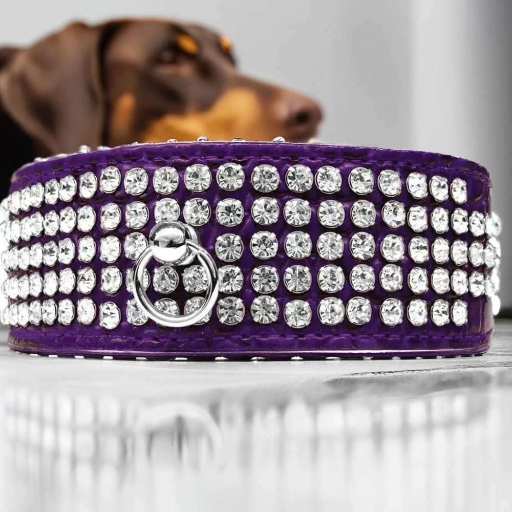 Five Row Clear Crystal Designer Croc Dog Collar - Dog
