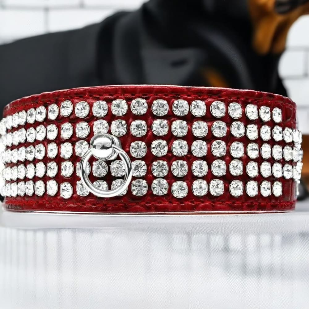 Five Row Clear Crystal Designer Croc Dog Collar - Dog