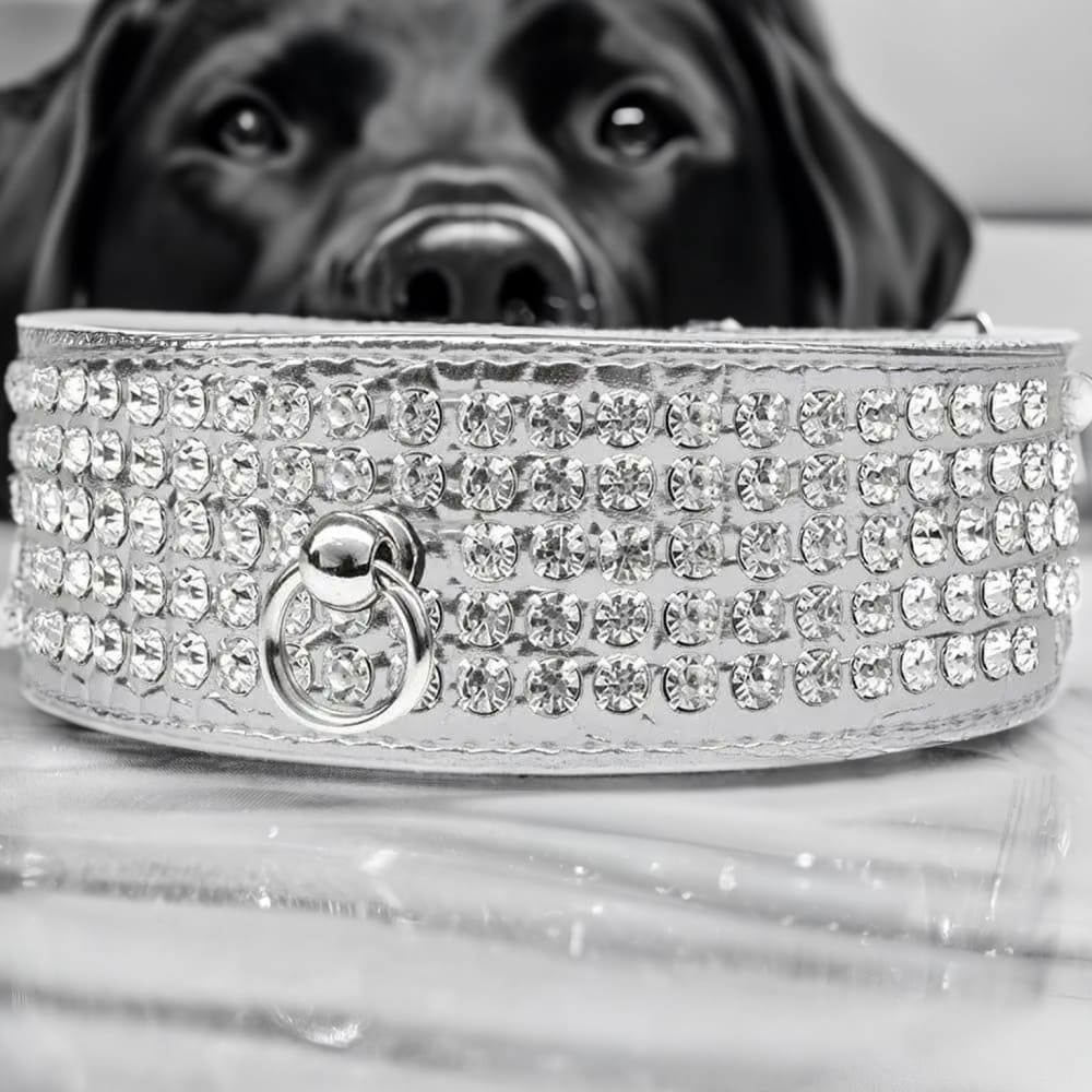 Five Row Clear Crystal Designer Croc Dog Collar - Dog