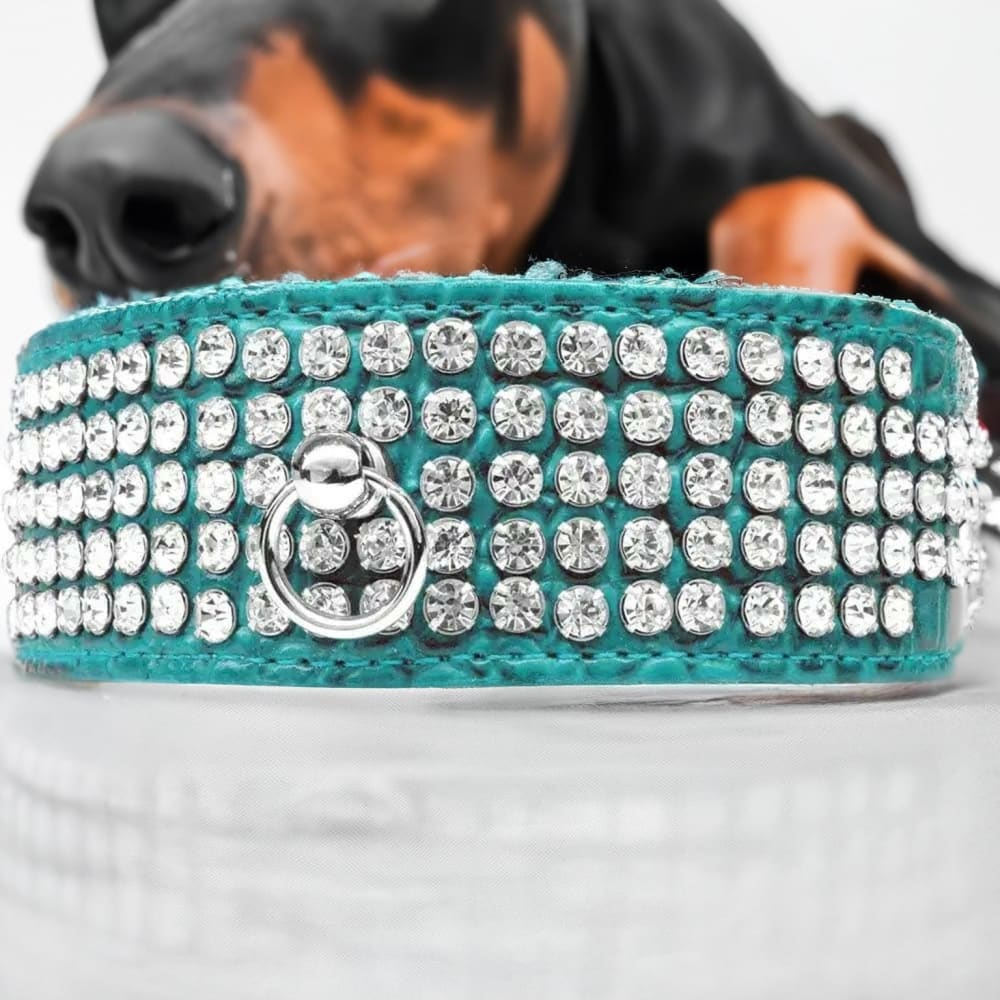 Five Row Clear Crystal Designer Croc Dog Collar - Dog
