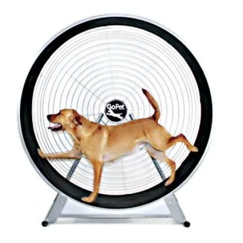 GoPet TreadWheel For Large Dogs - Dog Treadmills