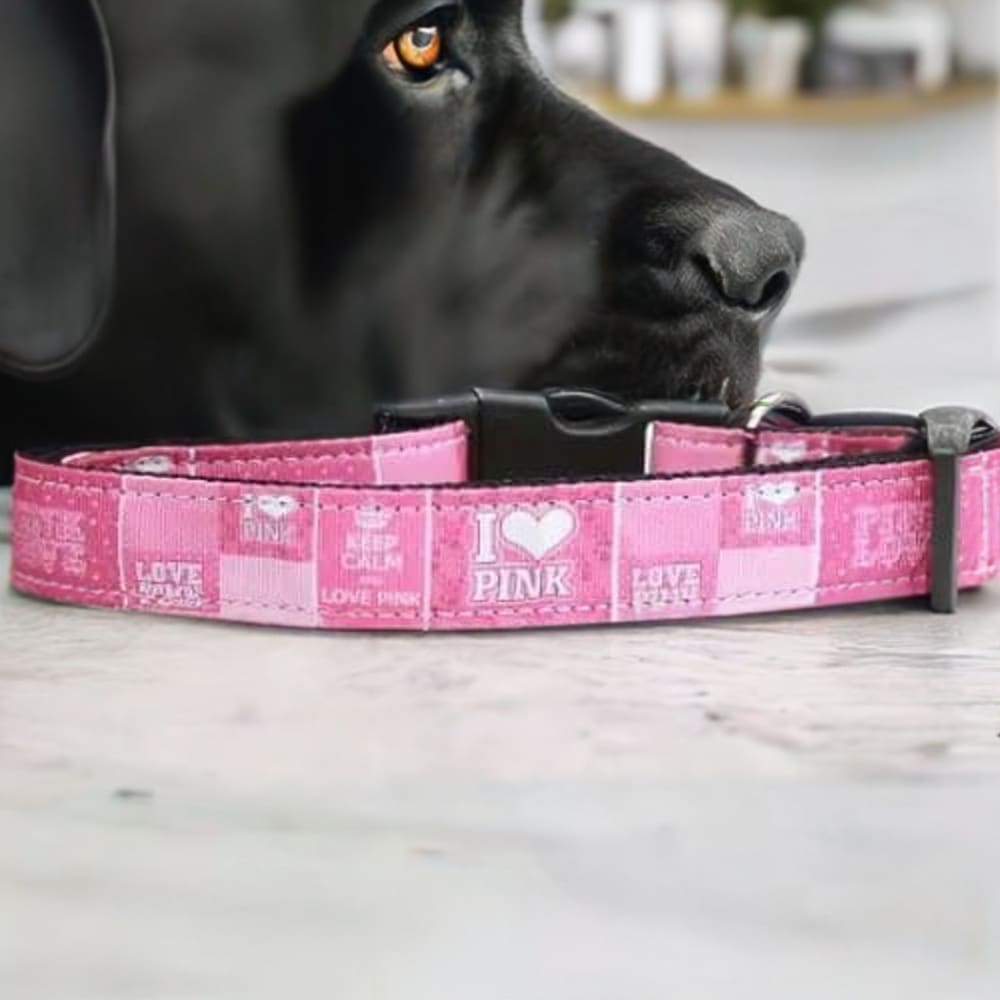 I Heart Pink Nylon Dog Collar & Leash - Dog Collars - Nylon