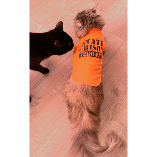 Inmate Pet Shirt - Pet Shirt