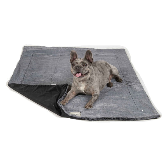 Itchy Witchy Essential Oils Pet Blanket - Pet Blanket