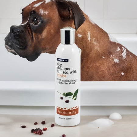 Ancol Jojoba Dog Shampoo - SLS & Paraben Free Puppy Shampoo