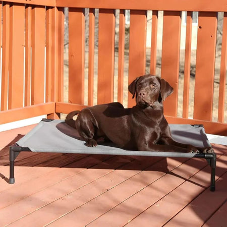 K&H Pet Products All Weather Pet Cot - Elevated Pet Bed