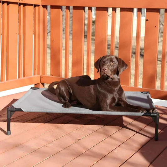 K&H Pet Products All Weather Pet Cot - Elevated Pet Bed