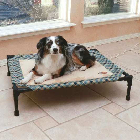 K&H Pet Products Thermo-Pet Cot - Medium - Elevated Dog Bed