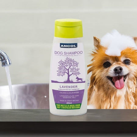 Ancol Lavender Dog Shampoo - Gentle Puppy Shampoo