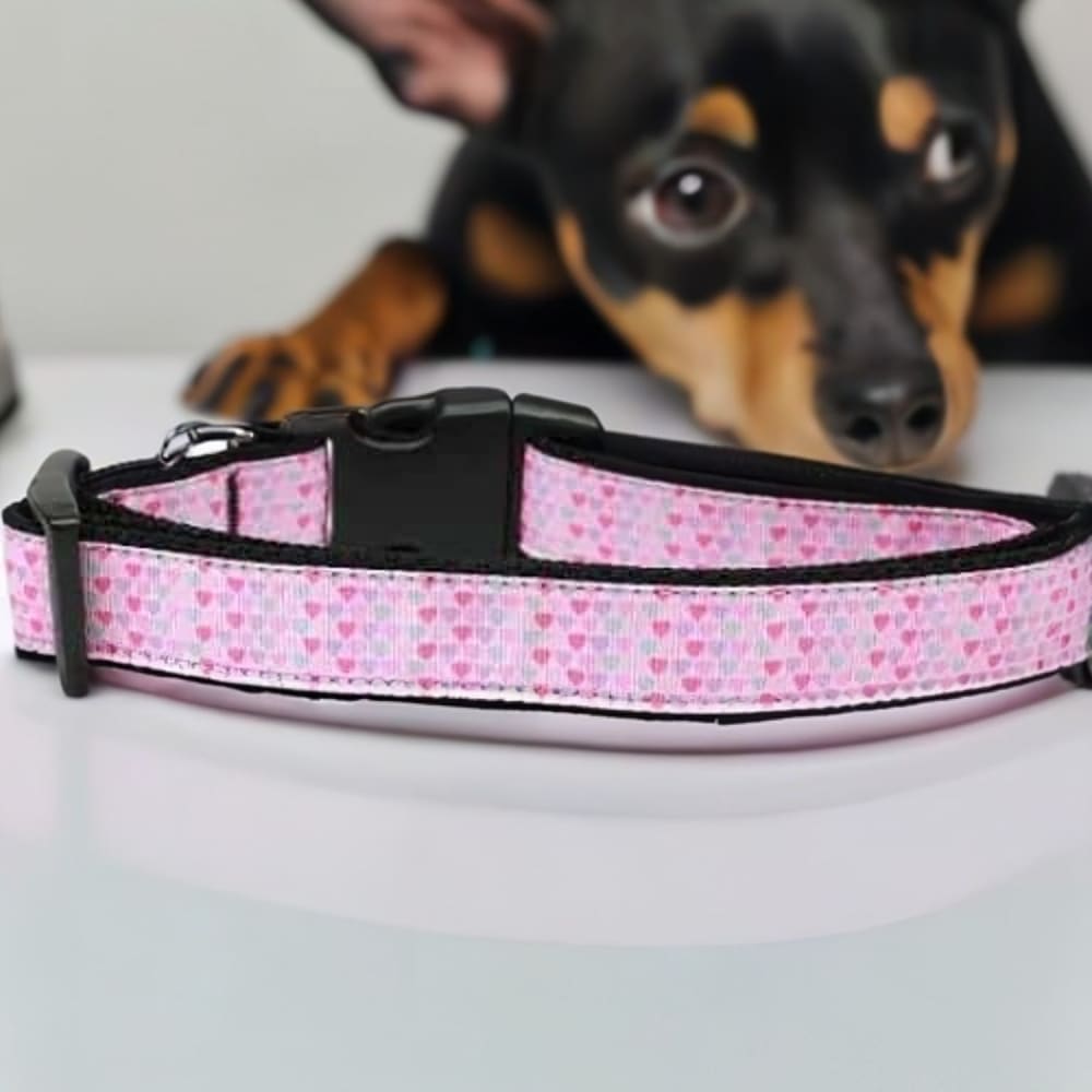 Many Mini Hearts Nylon Dog Collar - Dog Collars - Nylon