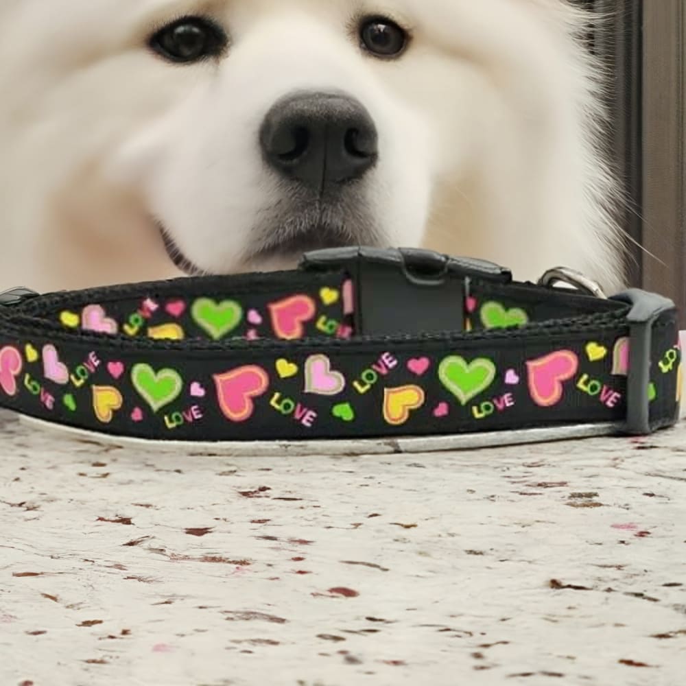Neon Love Nylon Dog Collar & Leash - Dog Collars - Nylon