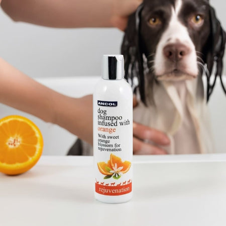 Ancol Orange Blossom Dog Shampoo - SLS & Paraben Free Puppy