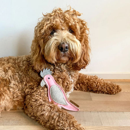 Outback Tails Gertie Galah Felt Chew Toy - Dog Chew Toy