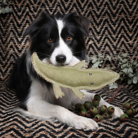 Outback Tails Steve the Cory Crocodile Jute Chew Toy - Dog