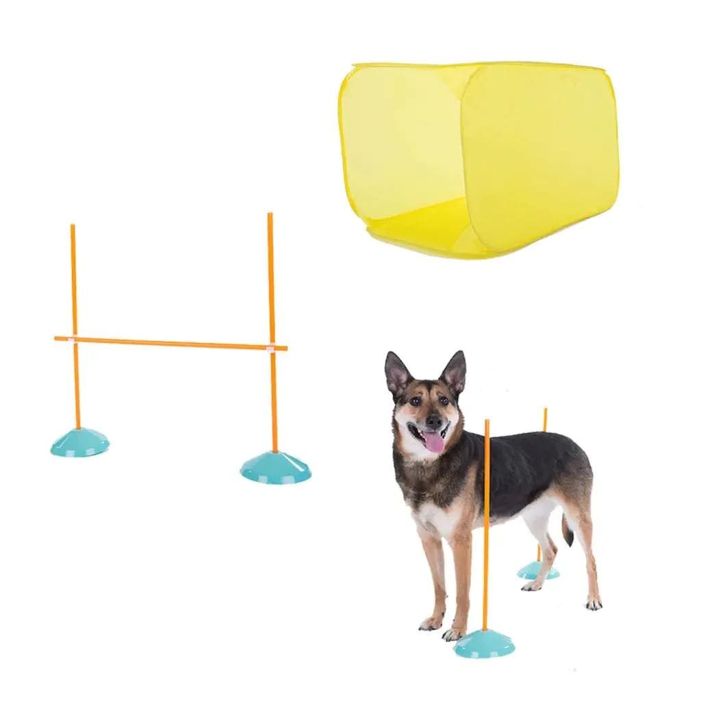 Outward Hound Dog Agility Starter Kit Indoor - Agility