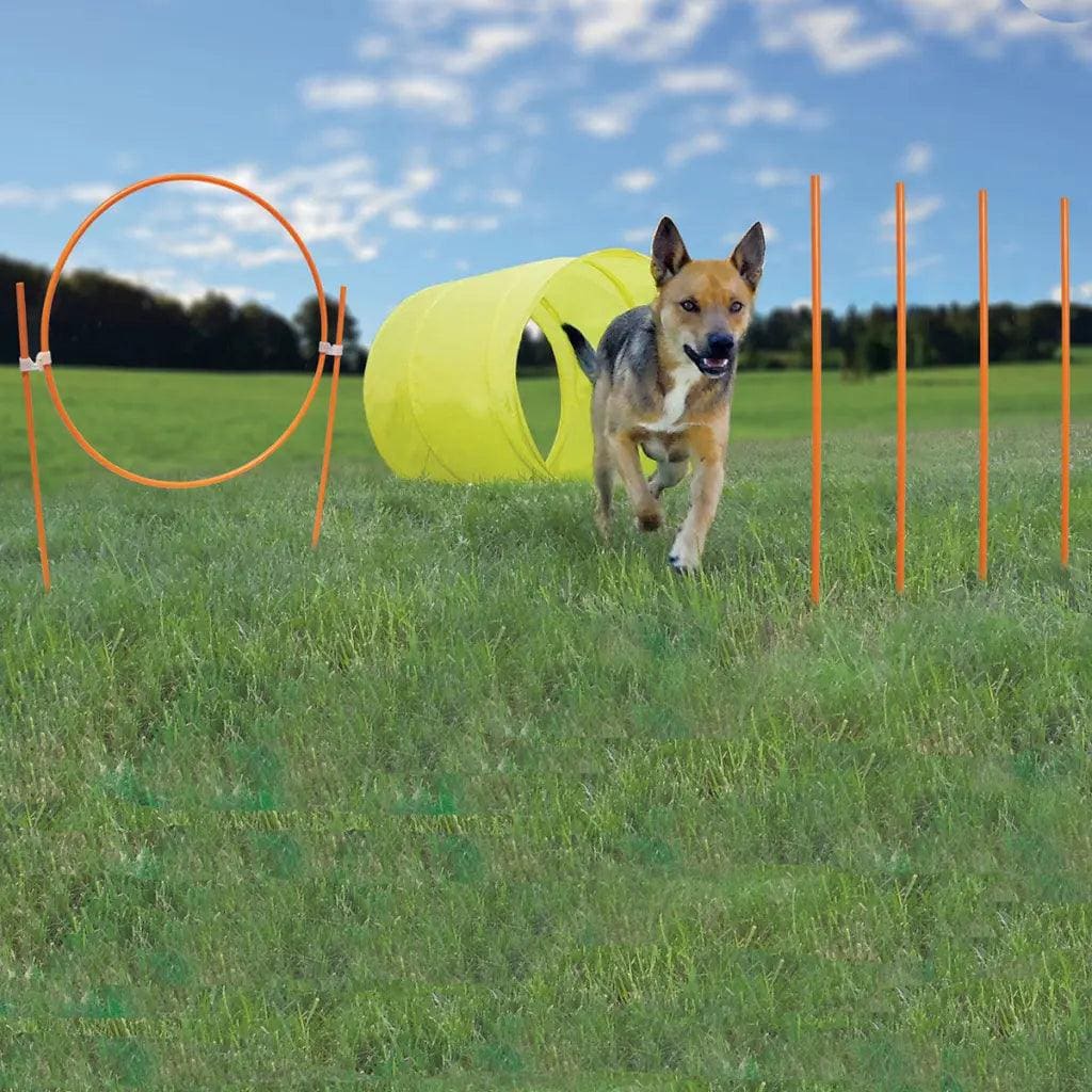 Outward Hound Dog Agility Starter Kit Outdoor - Agility