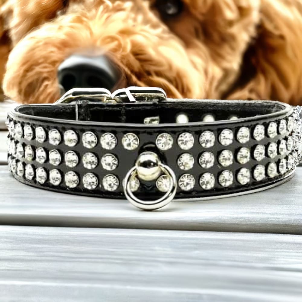 Patent Jewel #73 Dog Collar - Dog Collars - Patent Leather