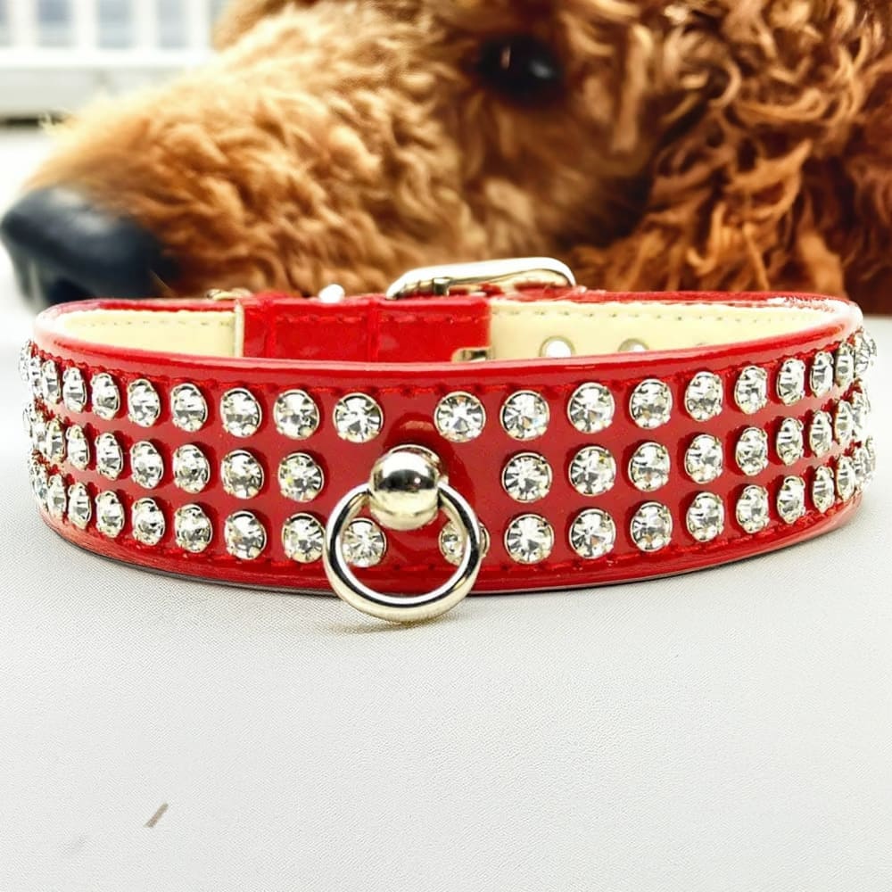 Patent Jewel #73 Dog Collar - Dog Collars - Patent Leather