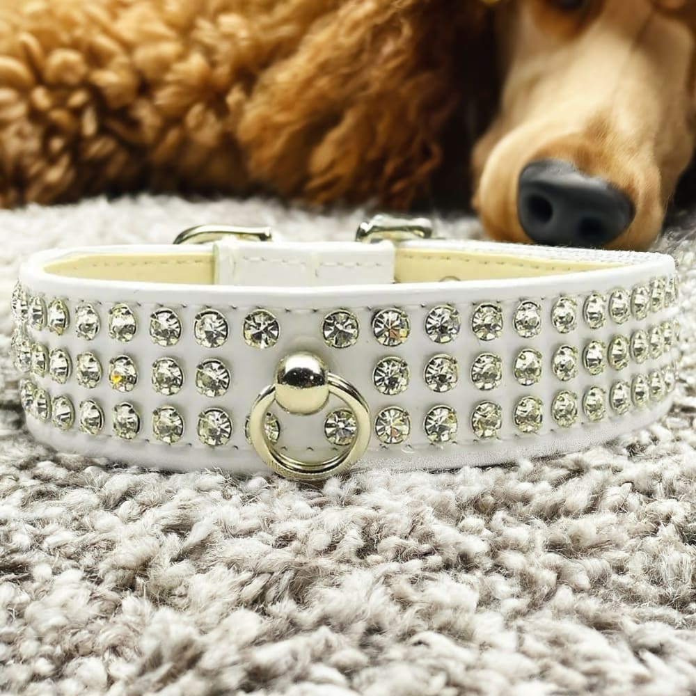 Patent Jewel #73 Dog Collar - Dog Collars - Patent Leather