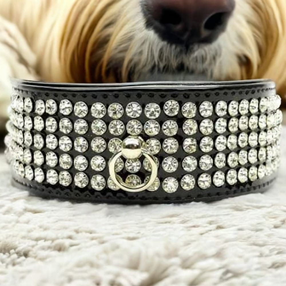 Patent Leather Five Row Jewel Dog Collar - Dog Collars