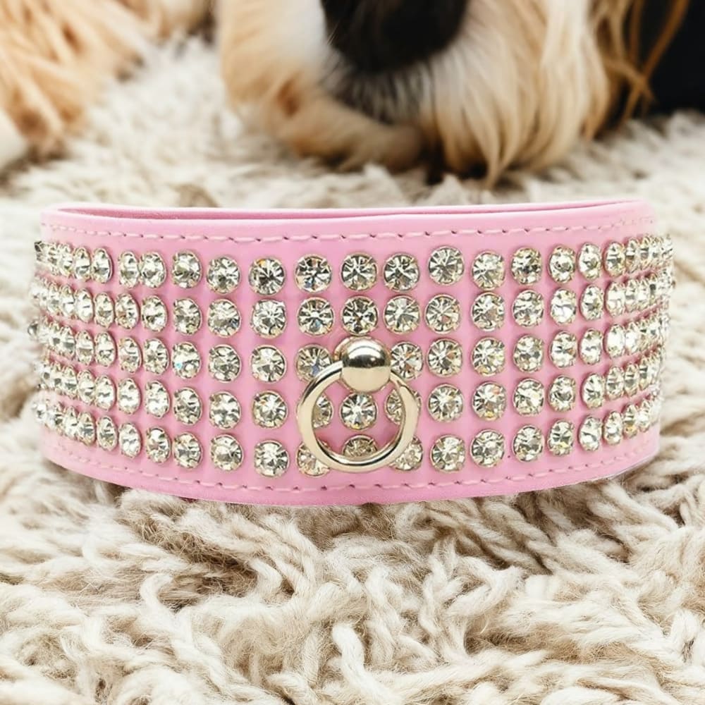 Patent Leather Five Row Jewel Dog Collar - Dog Collars