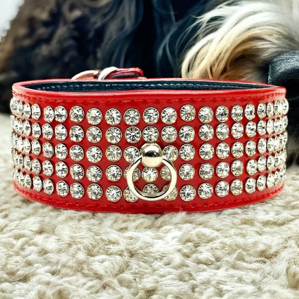 Patent Leather Five Row Jewel Dog Collar - Dog Collars