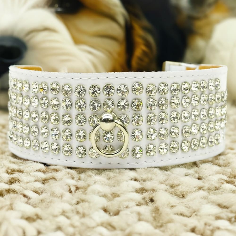 Patent Leather Five Row Jewel Dog Collar - Dog Collars