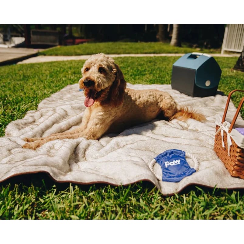 Paw PupProtector Cool Comfort Waterproof Throw Blanket