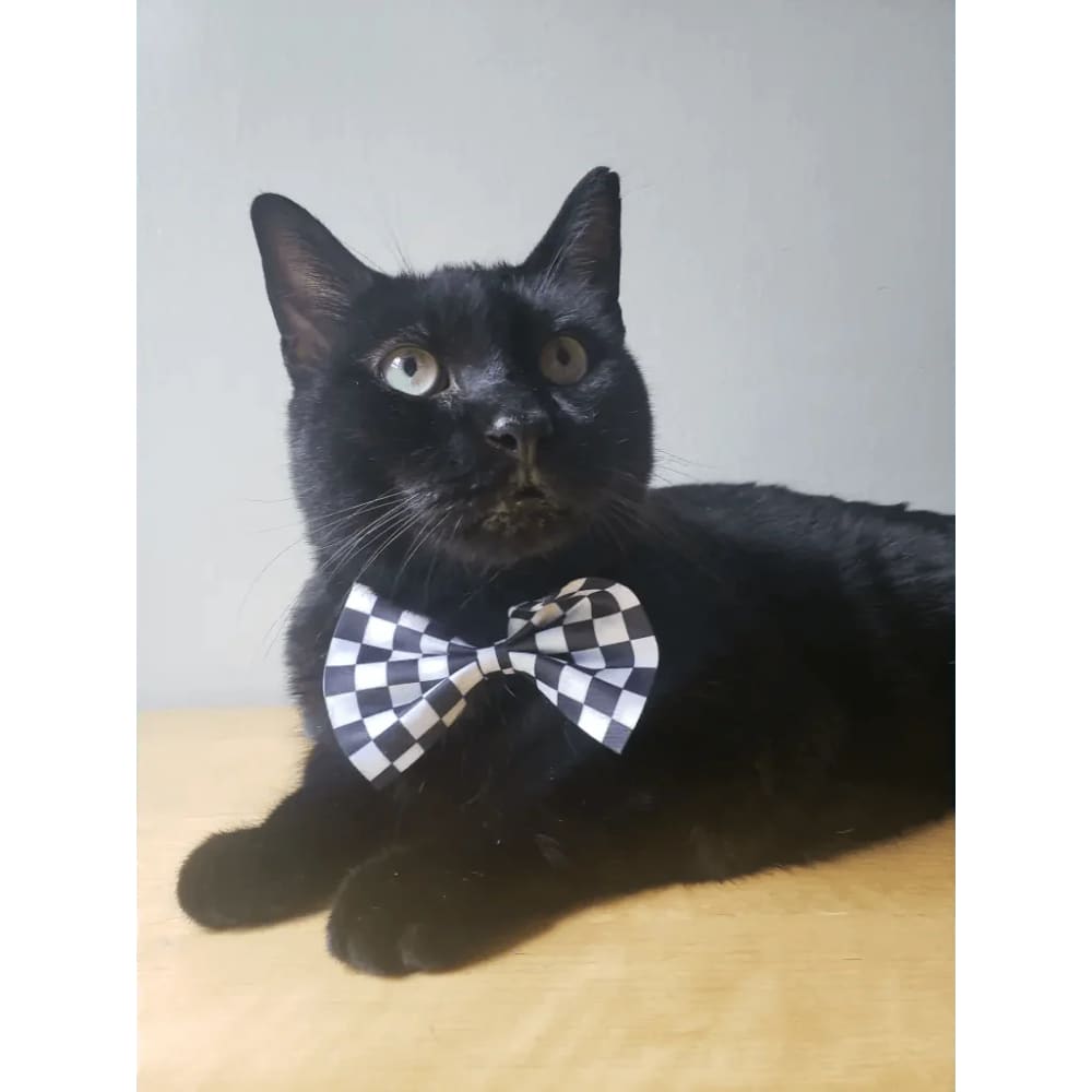Pet Bow Tie Checkered - Pet Bow Tie
