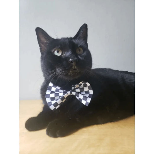 Pet Bow Tie Checkered - Pet Bow Tie