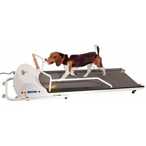 PetRun PR720F Dog Treadmill - Dog Treadmills