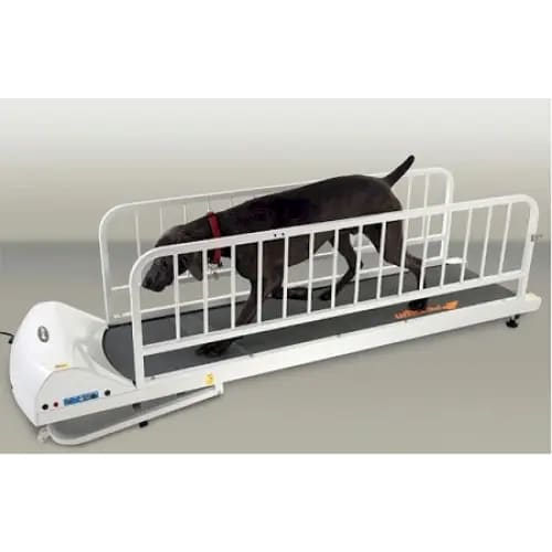 PetRun PR725 Dog Treadmill - Dog Treadmills
