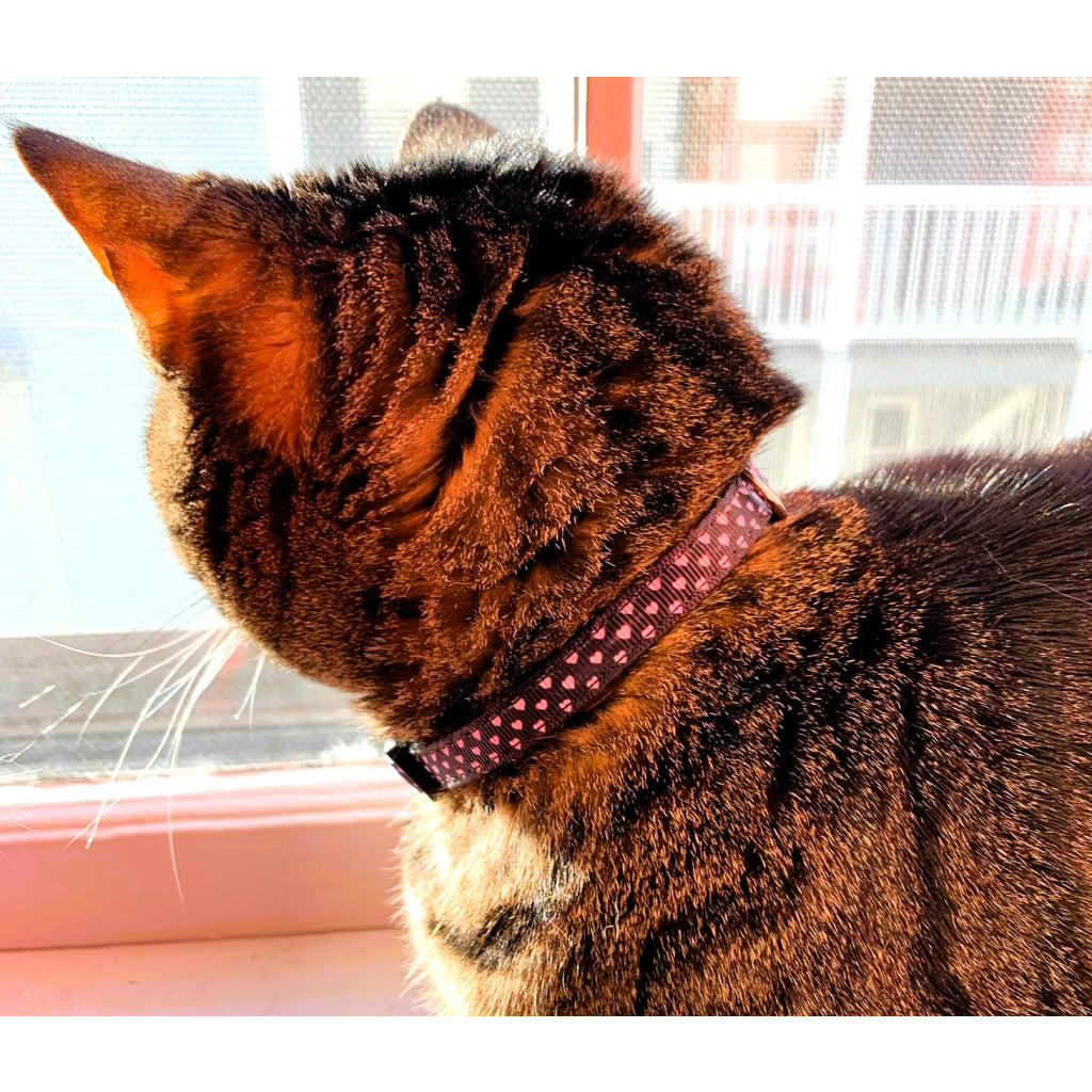 Pink And Black Dotty Hearts Nylon Cat Collar - Cat Collars