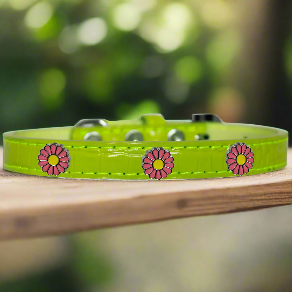 Pink Daisy Widget Croc Dog Collar - Dog Collars - Designer