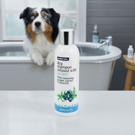 Ancol Juniper Dog Shampoo - SLS & Paraben Free Puppy