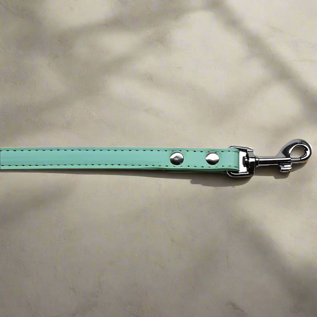 Premium Plain Pet Leash - Dog Leashes