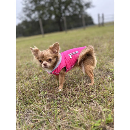 Reversible Pet Coat - Reversible Pet Coat