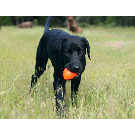 Ruff Dawg Football Dog Toy - Toss and Retrieve Dog Toy