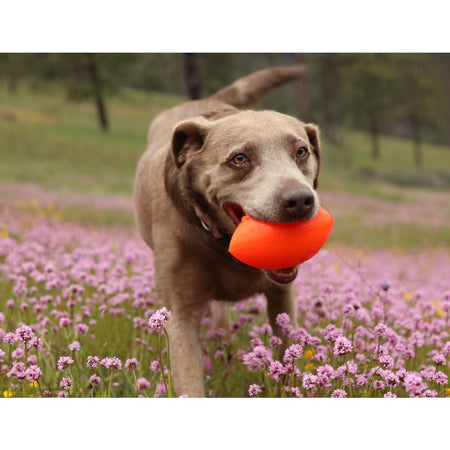 Ruff Dawg Football Dog Toy - Toss and Retrieve Dog Toy