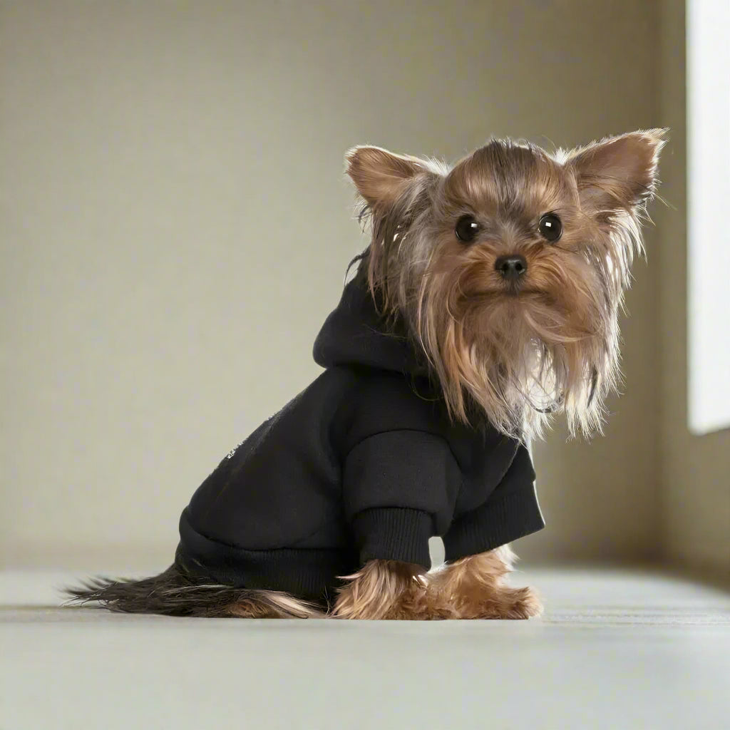 Solid Color Pet Hoodies - Pet Hoodies