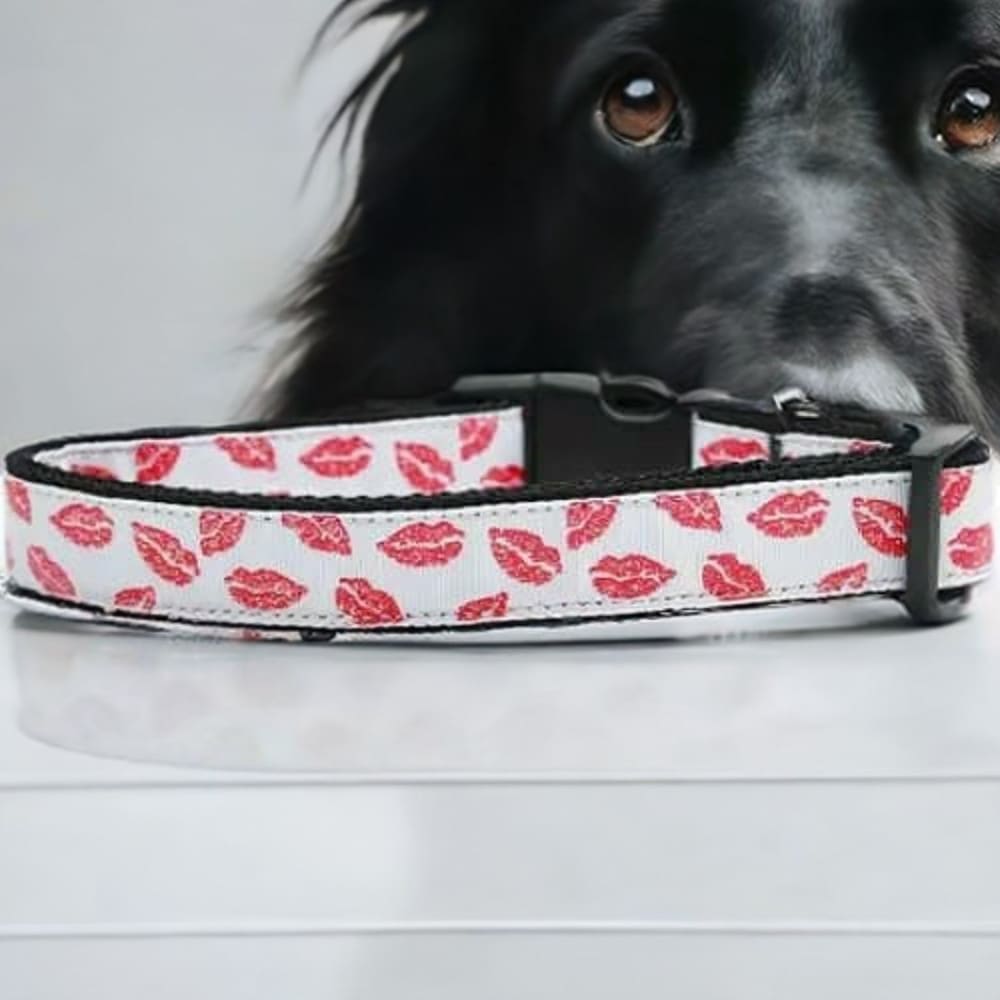 Sparkling Smooches Nylon Dog Collar & Leash - Dog Collars
