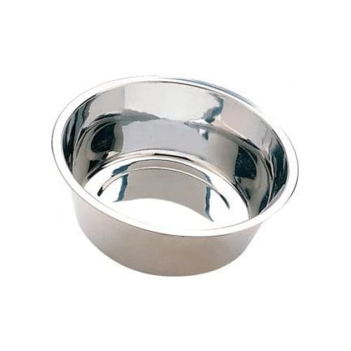 Spot Diner Time Stainless Steel Pet Dish - Choose