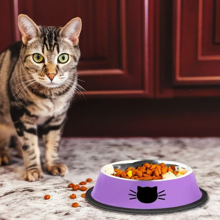 Cat Bowl Stainless Steel - Slip Resistant - Cat Stainless